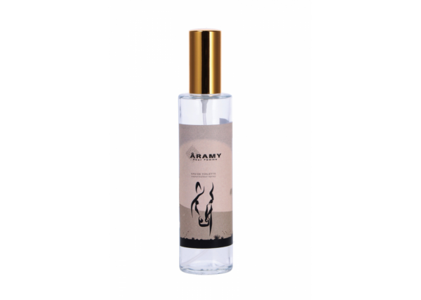 EAU DE TOILETTE DONNA 100ML ARAMY